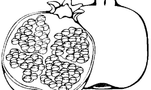 Online coloring book: Coloring big grenade